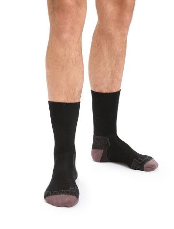 Men's Icebreaker Merino Hike+ Medium Crew Socks Black / Mink | CA 1924VRWD